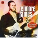 ELMORE JAMES-ESSENTIAL RECORDINGS (2CD)