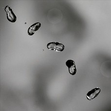 PETER GABRIEL-UP (2LP)