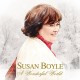 SUSAN BOYLE-WONDERFUL WORLD (CD)