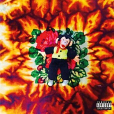 HODGY-FIREPLACE: THENOTTHE.. (CD)