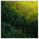 EARLY SPRING HORSES-WHAT THE WOOD WHISPERS.. (CD)