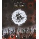 MARILLION-MARBLES IN THE PARK (DVD)