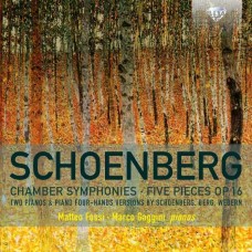 A. SCHOENBERG-CHAMBER SYMPHONIES/FIVE P (CD)