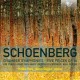 A. SCHOENBERG-CHAMBER SYMPHONIES/FIVE P (CD)