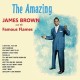 JAMES BROWN-AMAZING JAMES BROWN (CD)