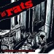 LES RATS-CEST BIEN PARTI POUR NE.. (2LP)