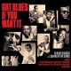 V/A-GOT BLUES IF YOU WANT IT (2CD)
