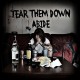 TEAR THEM DOWN-ABIDE (CD)