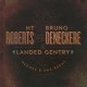 H.T. ROBERTS-HEROES & HAS-BEENS (CD)