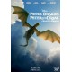FILME-PETER EN DE DRAAK (DVD)