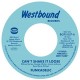 FUNKADELIC-CAN'T SHAKE IT LOOSE (7")