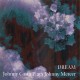JOHNNY COSTA-PLAYS JOHNNY MERCER - DREAM (CD)