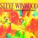 STEVE WINWOOD-TALKING BACK TO THE NIGHT (LP)