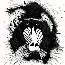 FERAL OHMS-FERAL OHMS (CD)