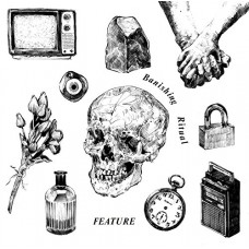 FEATURE-BANISHING RITUAL (LP)