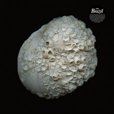 JFDR-BRAZIL (CD)