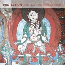 V/A-PROTECTION (CD)