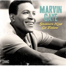 MARVIN GAYE-STUBBORN KIND OF FELLOW (LP)