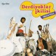 DERDIYOKLAR IKILISI-DISCO FOLK (LP)