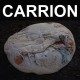 RECITATION-CARRION (LP)