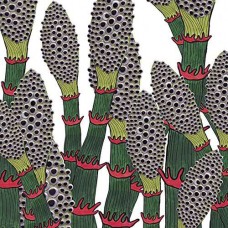 PART CHIMP-IV (CD)