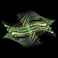 BOGUS ORDER-ZEN BRAKES VOL.2 (CD)