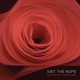 WET THE ROPE-SUM OF OUR SCARS (LP)