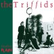 TRIFFIDS-TREELESS PLAIN (CD)