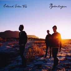 ERLEND VIKEN TRIO-NYKOMINGEN (CD)