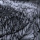 FALLS OF RAUROS-VIGILANCE PERENNIAL (CD)