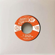 DR RING DING-ADORABLE YOU/TREN A.. (12")