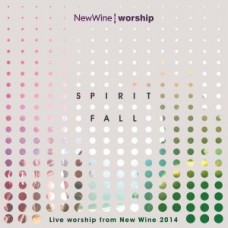 NEW WINE LIVE-SPIRIT FALL (CD)