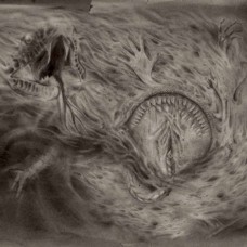 NIDSANG-INTO THE WOMB OF.. (CD)