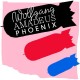 PHOENIX-WOLFGANG AMADEUS PHOENIX (LP)