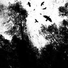 AUTUMN'S DAWN-GONE (CD)