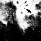AUTUMN'S DAWN-GONE (CD)