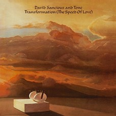 DAVID SANCIOUS AND TONE-TRANSFORMATION (CD)