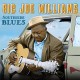 BIG JOE WILLIAMS-SOUTHSIDE BLUES (CD)