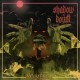 SHADOW OF DOUBT-NO MERCY (CD)
