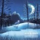 INVENT ANIMATE-STILLWORLD (LP)