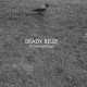 BEADY BELLE-AT WELDING BRIDGE (LP)
