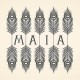 MAIA-WILD WATERS (CD)
