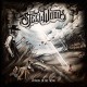 STEEL WOODS-STRAW IN THE WIND (2LP)