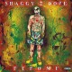 SHAGGY 2 DOPE-F.T.F.O.M.F (CD)
