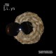 I.L.Y'S-BODYGUARD (CD)
