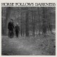 DELIA GONZALEZ-HORSE FOLLOWS DARKNESS (LP)