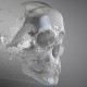 BARDSPEC-HYDROGEN (LP)