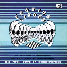 PEAKING LIGHTS-FIFTH STATE OF.. (CD)