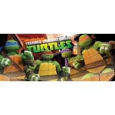 ANIMAÇÃO-TEENAGE MUTANT NINJA S4 (4DVD)