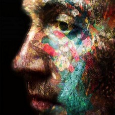 DANIEL O'SULLIVAN-VELD (CD)